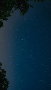 Midnight Blue 50 ml Perfume Oil Rollerball